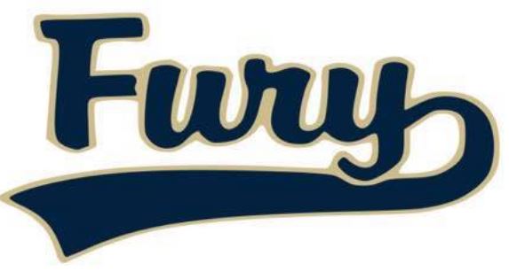 FuryLogo